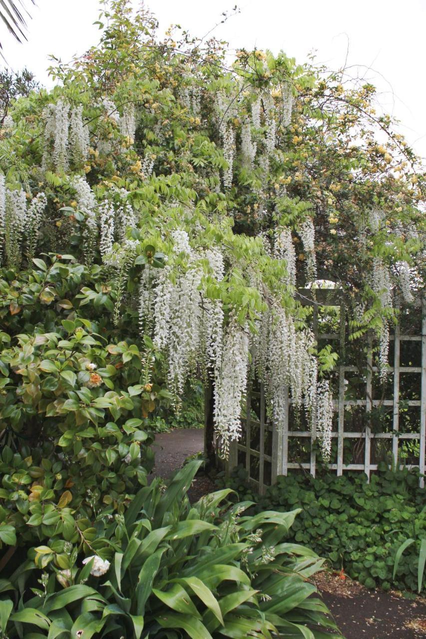 Browns Boutique Bed And Breakfast Whanganui Bagian luar foto