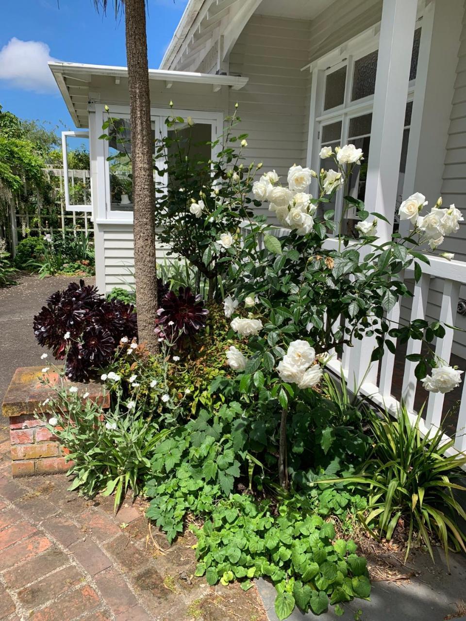 Browns Boutique Bed And Breakfast Whanganui Bagian luar foto